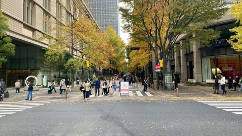 如何低成本打造高效益外贸独立站？建设与运营全攻略