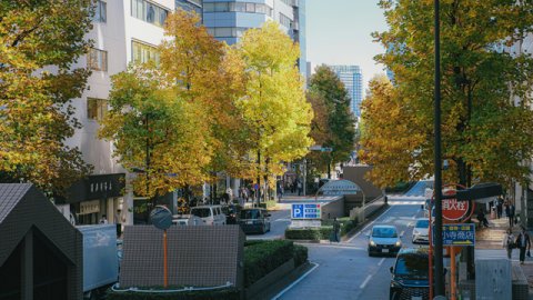 亚洲和欧洲VAT申报周期及滞纳金规定一览