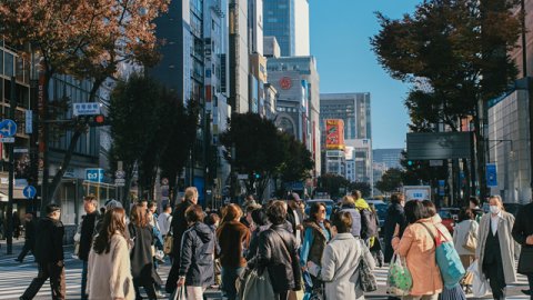 欧盟商标注册指南：流程与注意事项详解